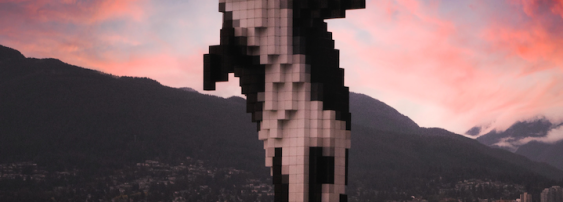 Pixel orca